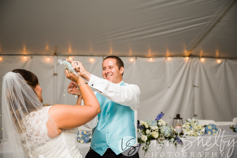 Sara + Jeremy's Wedding - Lisa Shelby Photography