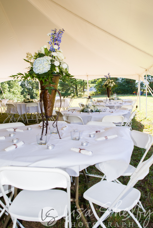 Sara + Jeremy's Wedding - Lisa Shelby Photography