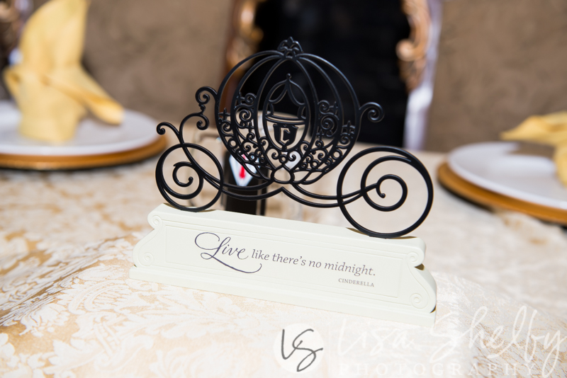 Brandy + Jeremy's Wedding - Lisa Shelby Photography