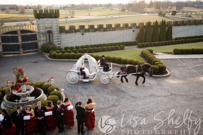 Brandy + Jeremy's Wedding - Lisa Shelby Photography