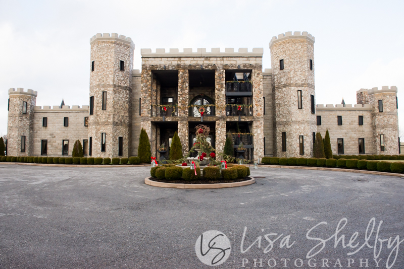 Brandy + Jeremy's Wedding - Lisa Shelby Photography