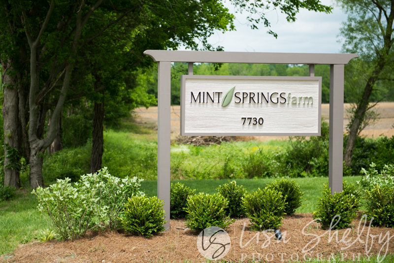 Katie + Chris's Wedding - Lisa Shelby Photography