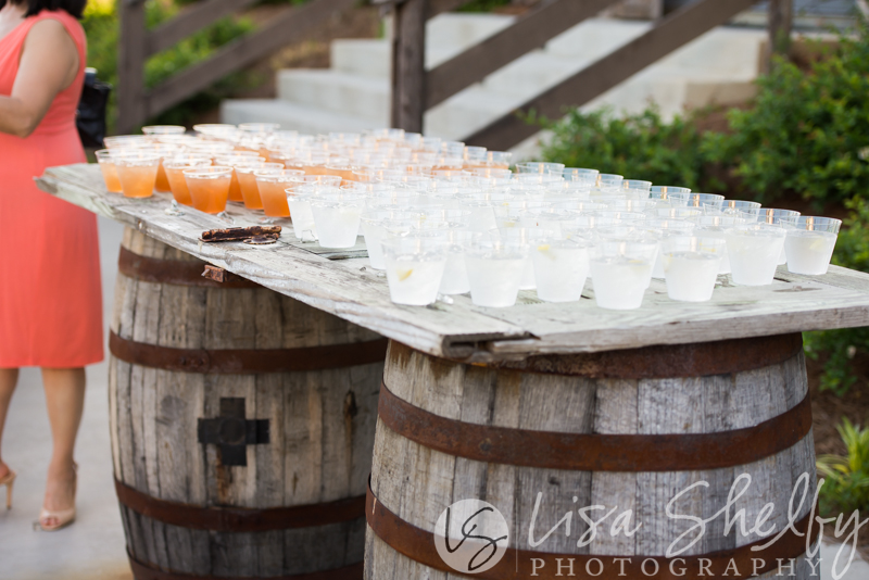 Katie + Chris's Wedding - Lisa Shelby Photography