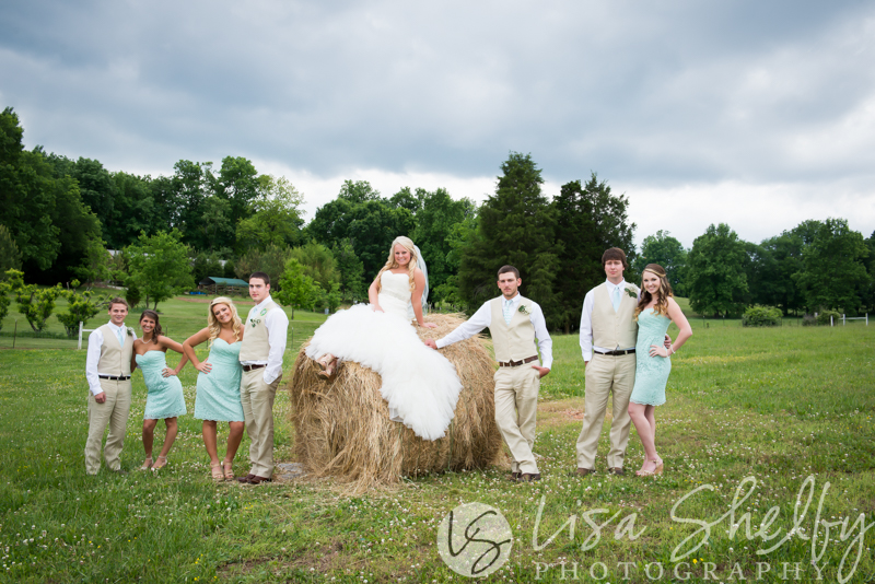 Allison + Kyle's Wedding - Lisa Shelby Photography