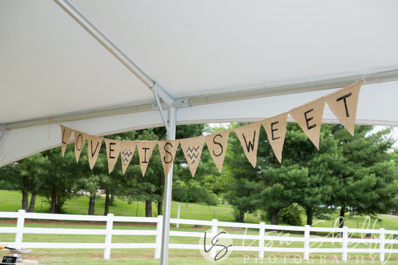 Allison + Kyle's Wedding - Lisa Shelby Photography