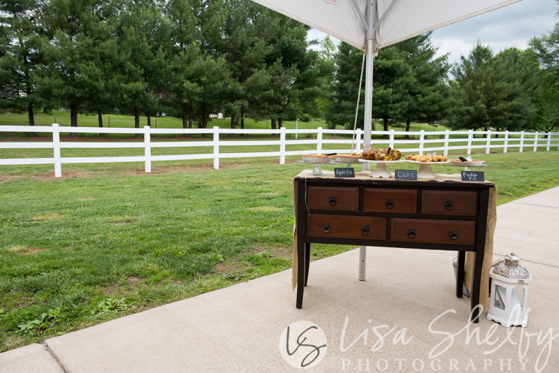 Allison + Kyle's Wedding - Lisa Shelby Photography