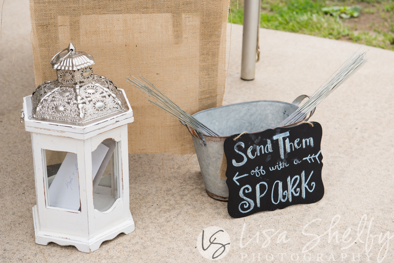 Allison + Kyle's Wedding - Lisa Shelby Photography
