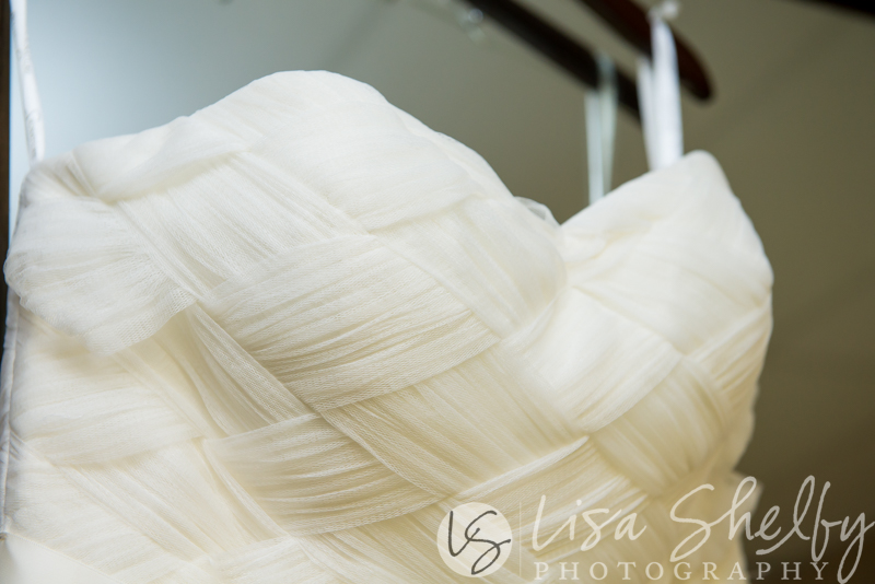 Allison + Kyle's Wedding - Lisa Shelby Photography