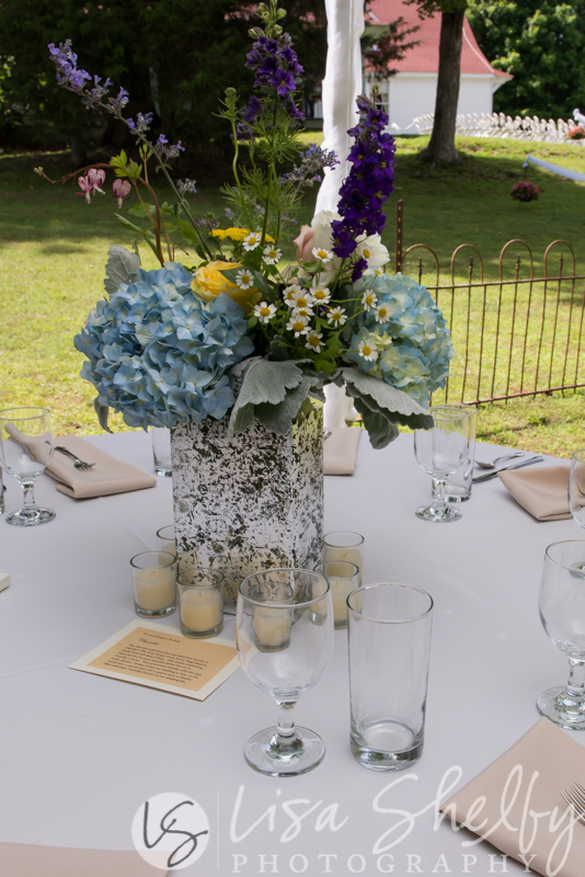 Chandler + Sam's Wedding - Lisa Shelby Photography