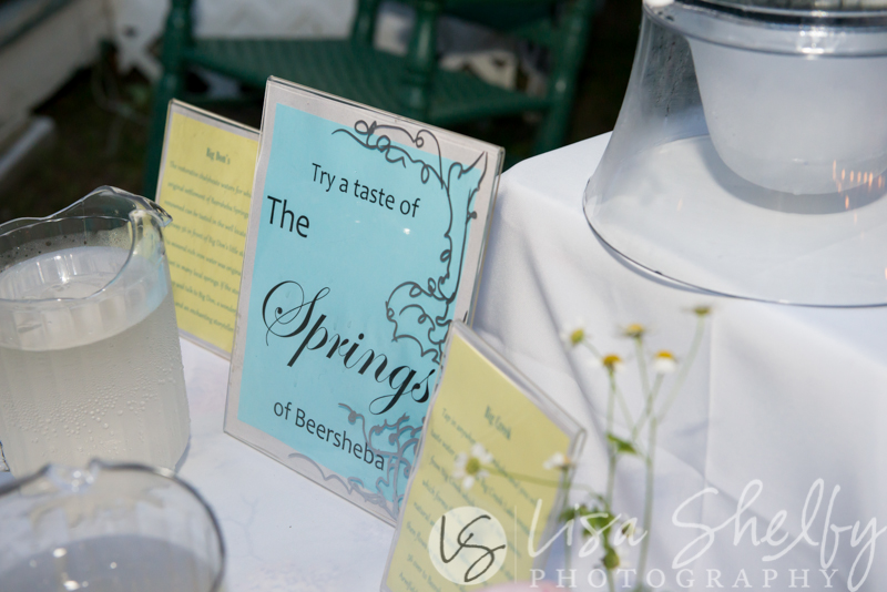 Chandler + Sam's Wedding - Lisa Shelby Photography