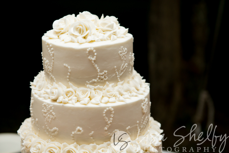Chandler + Sam's Wedding - Lisa Shelby Photography