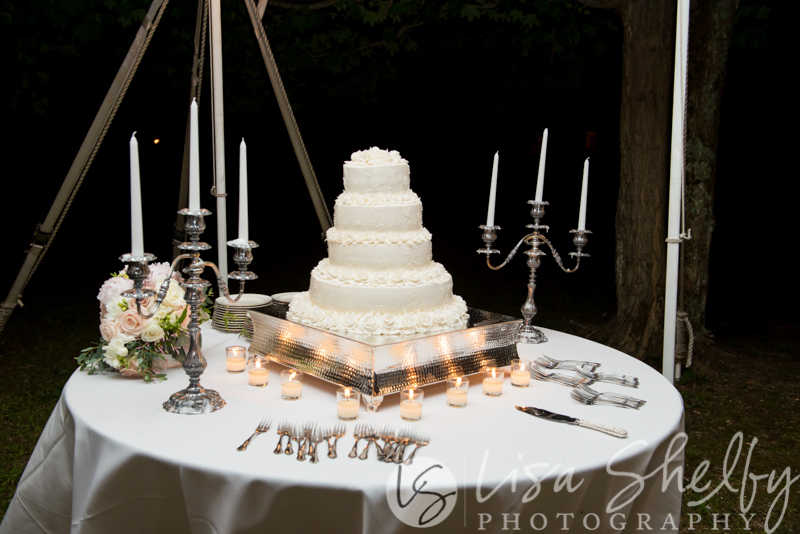 Chandler + Sam's Wedding - Lisa Shelby Photography