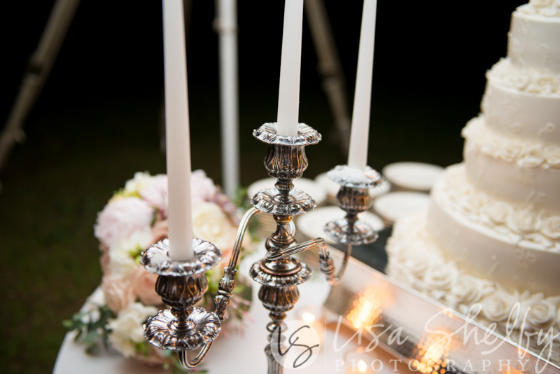 Chandler + Sam's Wedding - Lisa Shelby Photography