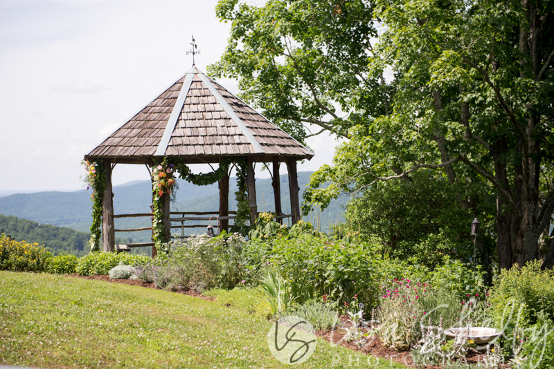Chandler + Sam's Wedding - Lisa Shelby Photography