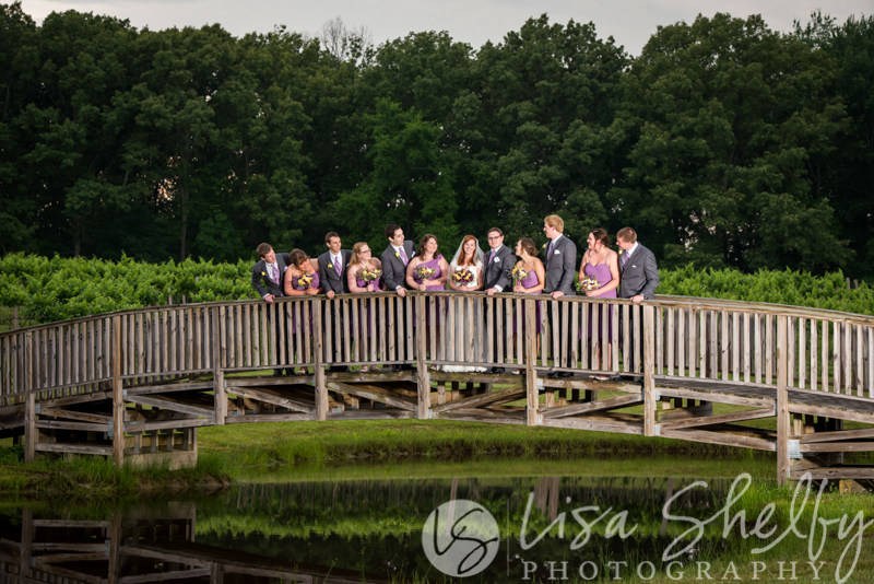 Kayla + Jason's Wedding - Lisa Shelby Photography