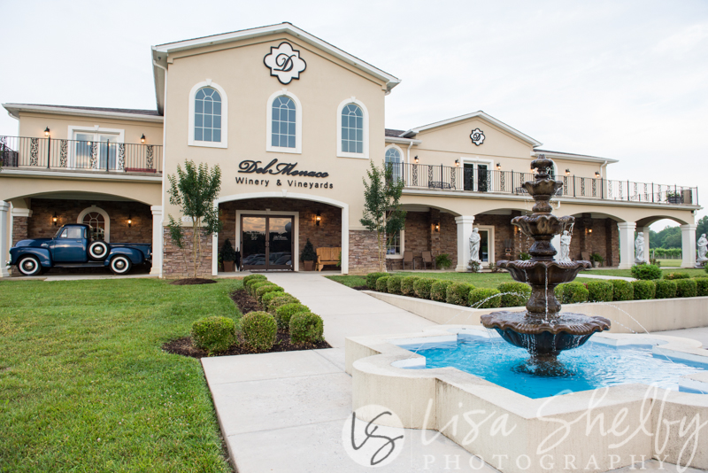 Kayla + Jason's Wedding - Lisa Shelby Photography