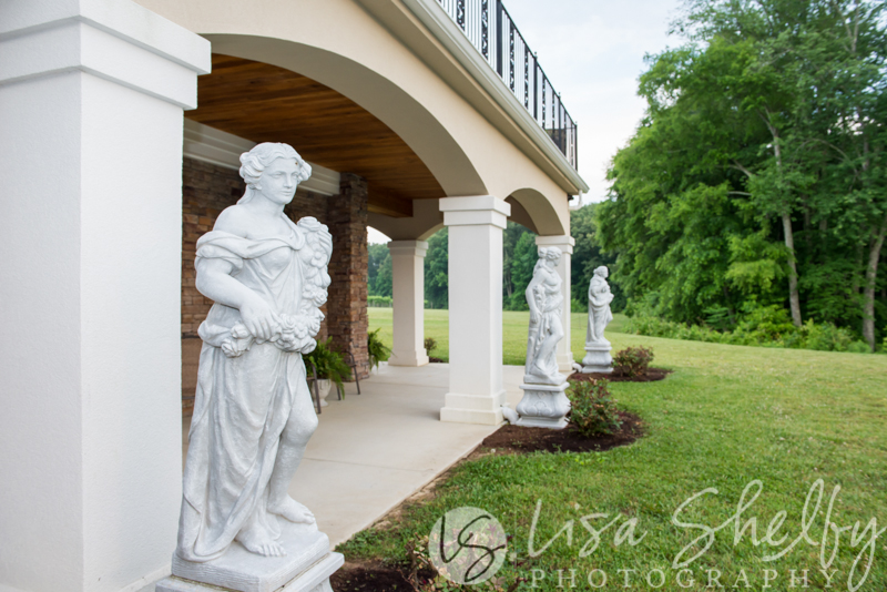 Kayla + Jason's Wedding - Lisa Shelby Photography