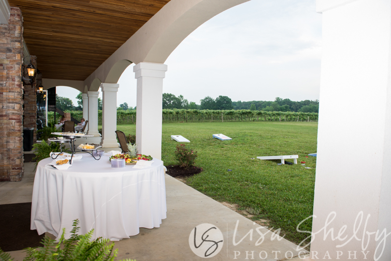 Kayla + Jason's Wedding - Lisa Shelby Photography
