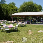 Erica + Ben's Wedding