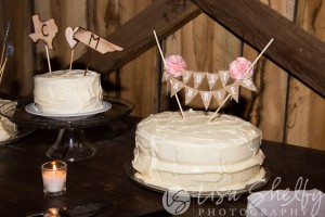 Ciera + Matthew's Nashville Wedding