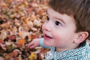 Wilcox Family Session