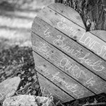 Meagan Derrick's Engagement Session | Lisa Shelby Photography