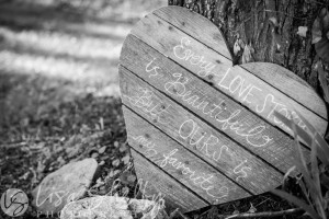 Meagan Derrick's Engagement Session | Lisa Shelby Photography